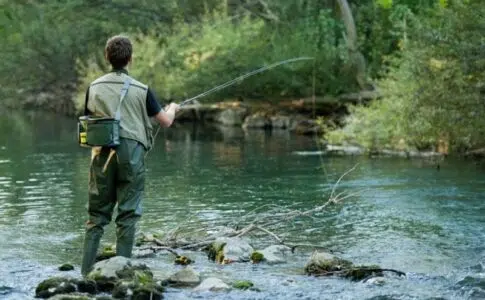 Comment pêcher à la ligne