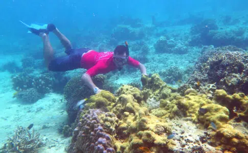 Guillaume snorkeling