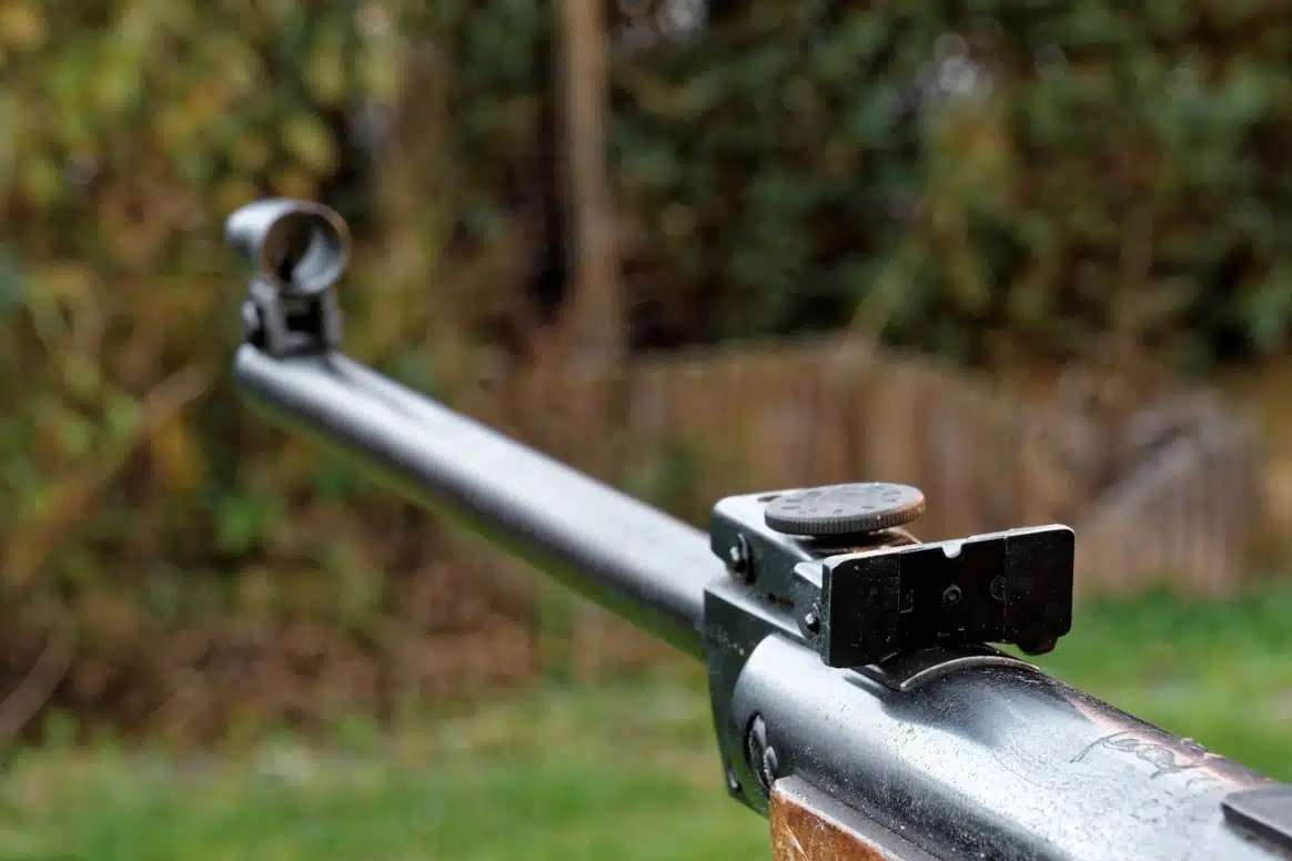 carabine à plomb de 500 joules