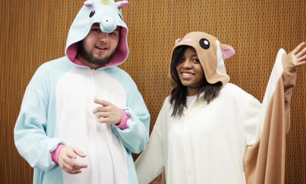 kigurumi licorne