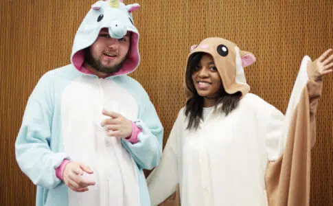 kigurumi licorne