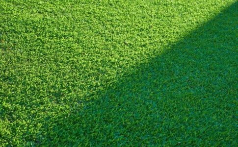 Le rôle clé du géotextile indéchirable pour un aménagement extérieur durable