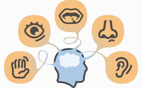 marketing sensoriel