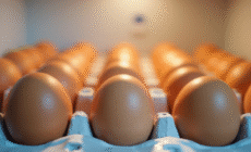 Oeufs frais dans un carton dans le frigo lumineux