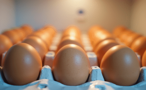 Oeufs frais dans un carton dans le frigo lumineux