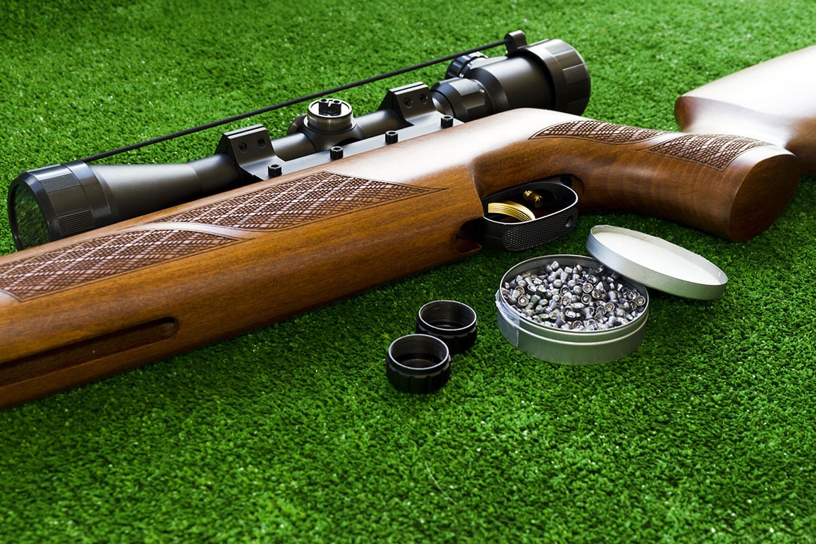 carabine à plomb de 500 joules